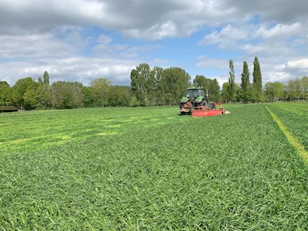 30.05.2025_Nieuwsbrief_AN_Maaien na eerste snede