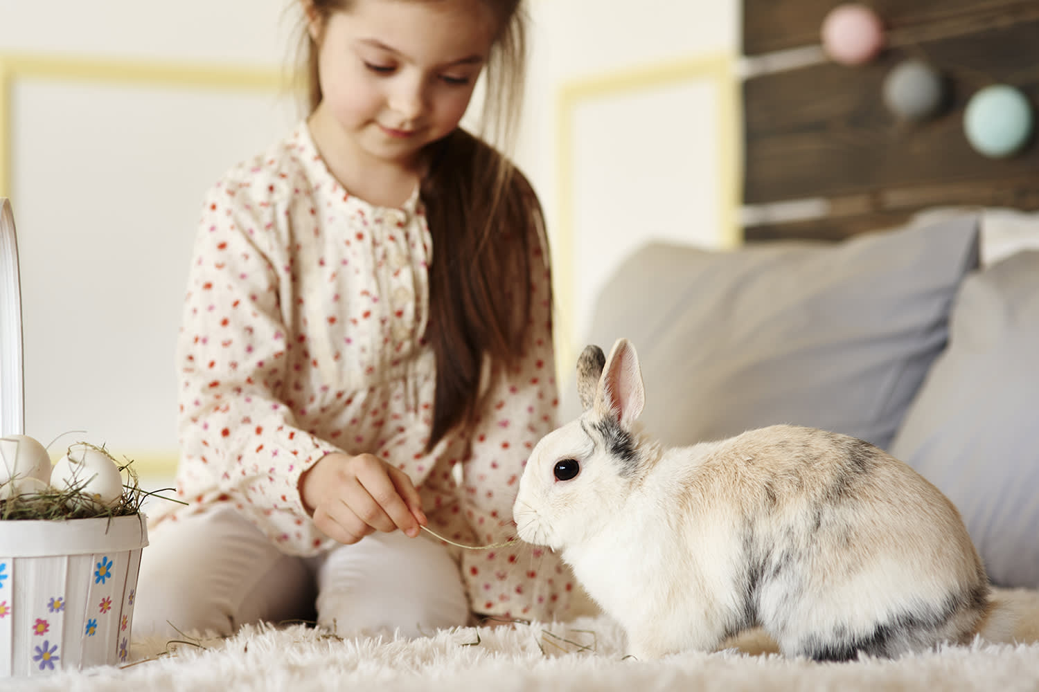 Lapin qui gambade en liberté à l’intérieur – Aveve