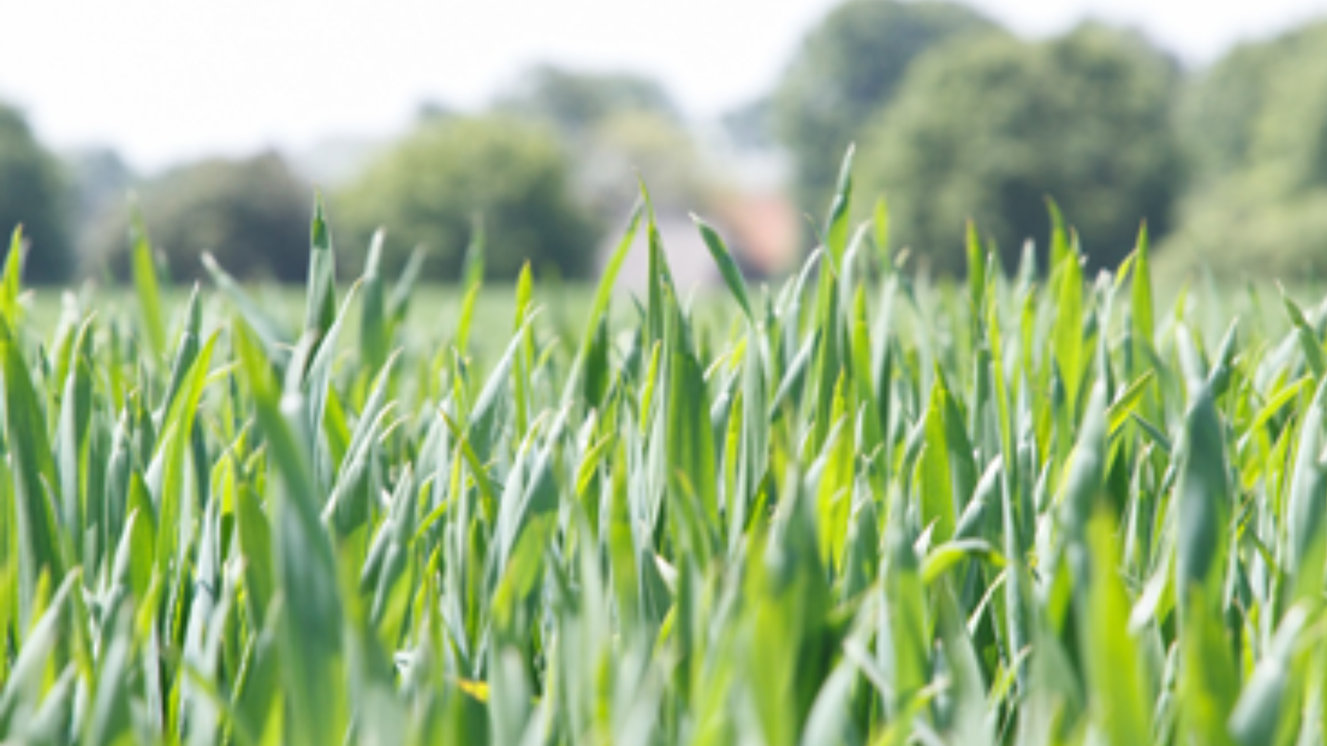 Product_N-Smart_390x390px