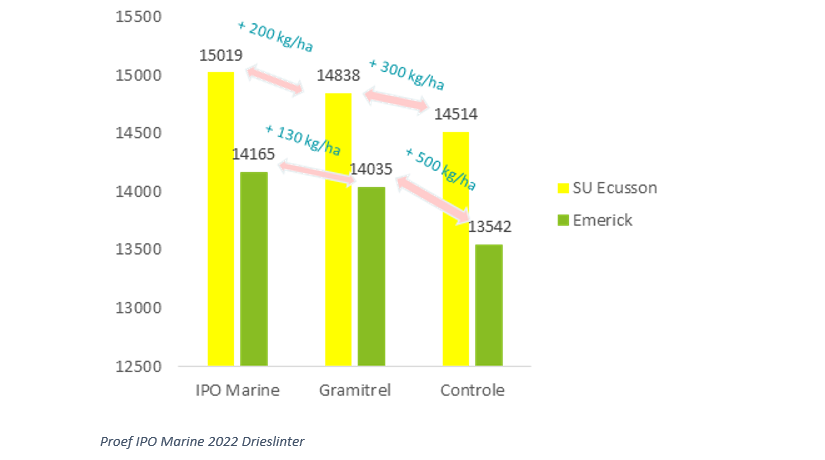 IPO Marine, verzekering voor groei en rendement in granenI&T2
