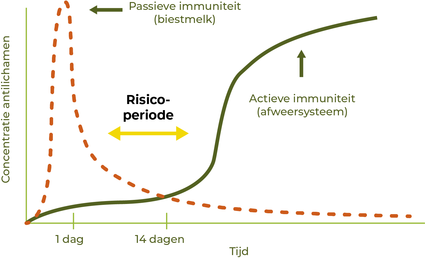 een grafiek die de immuniteit van het kalf weergeeft