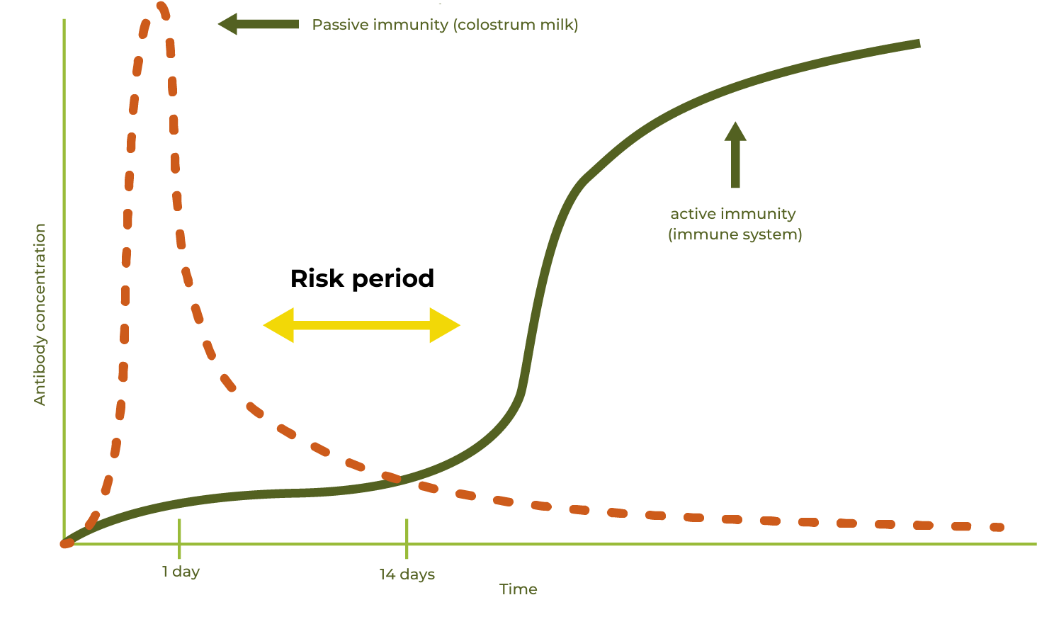 a graph showing the calf's immunity