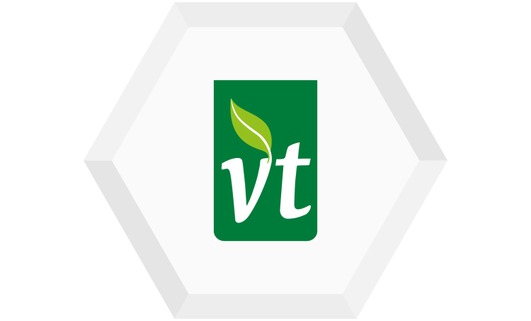 VT