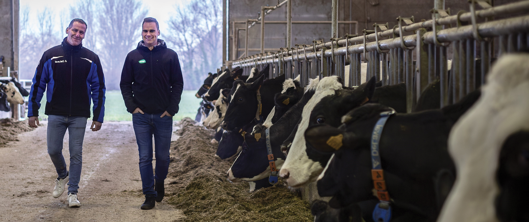 Melkveebedrijf Lauwerysen-Hillen