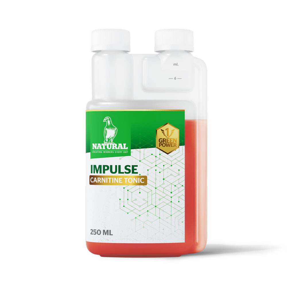 GP impulse packshot