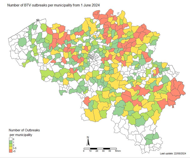 30.08.2024_Nieuwsbrief_AN_Hoe ondersteun ik mijn veestapel tijdens blauwtong