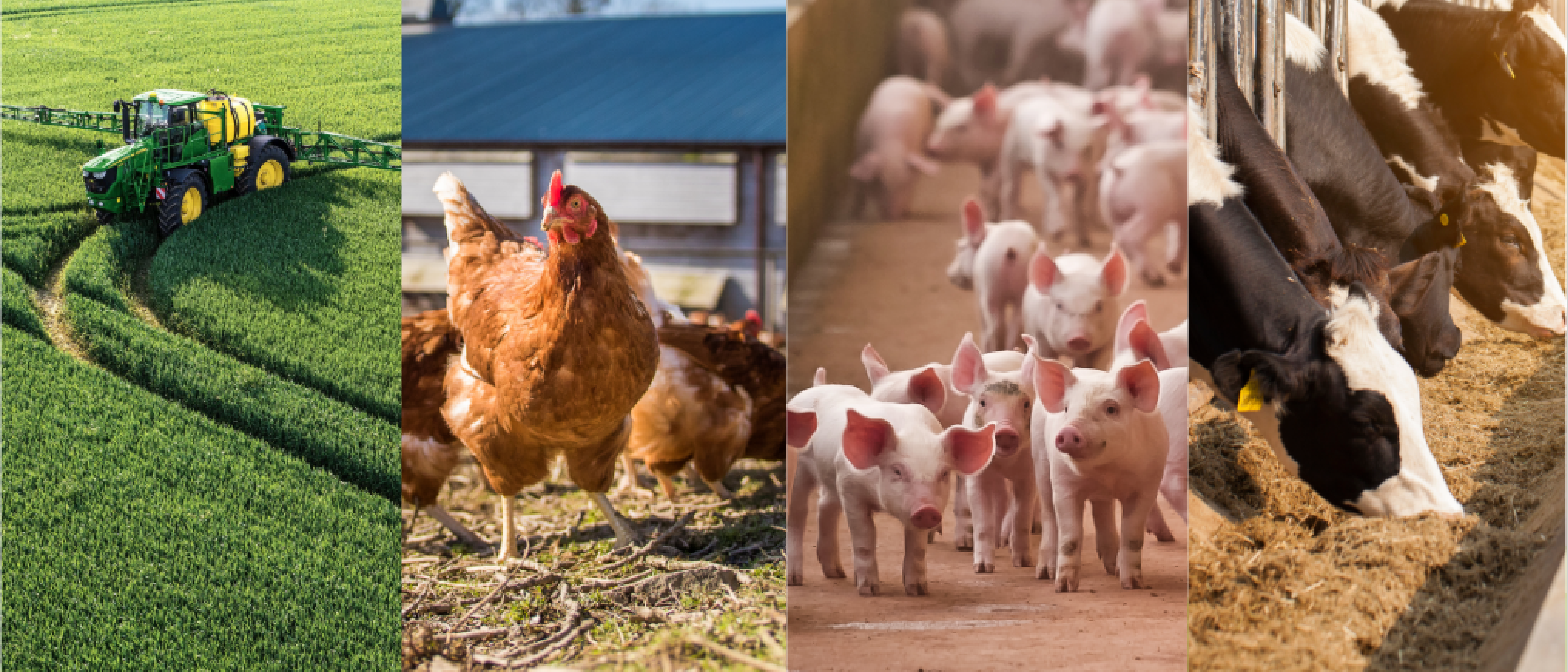 Veehouderijproducten Hero Banner 1920x823px