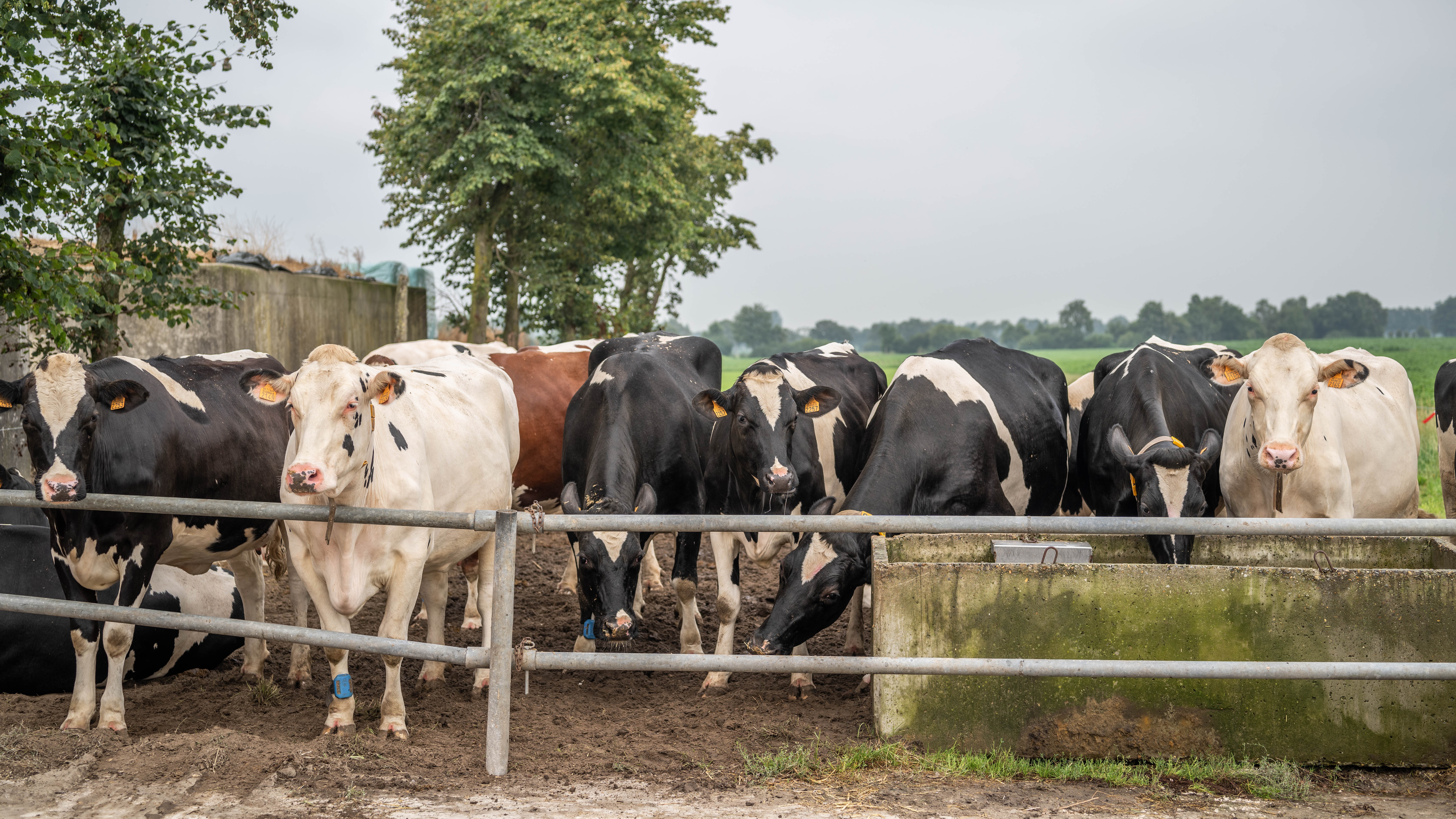 MV_hittestress.be (1)