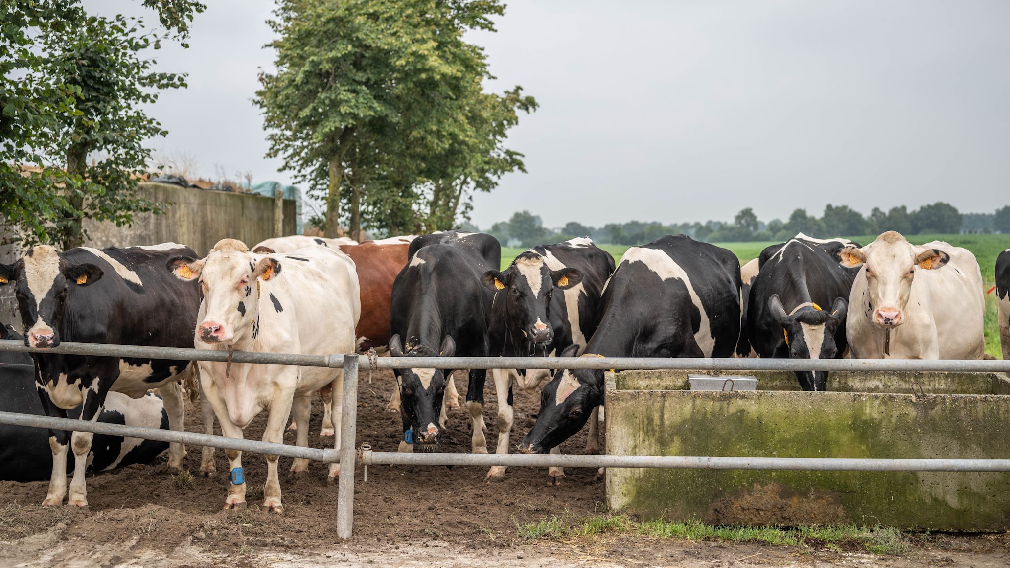 MV_hittestress.be (1)