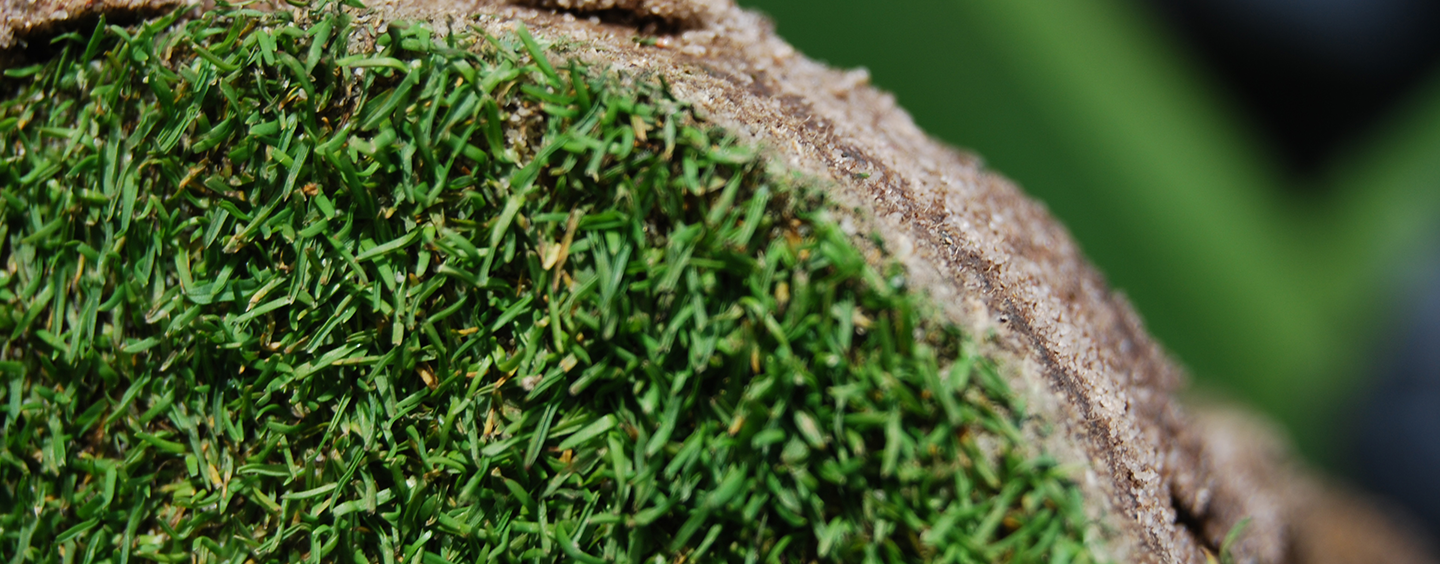 Adviseurs groenvoorziening