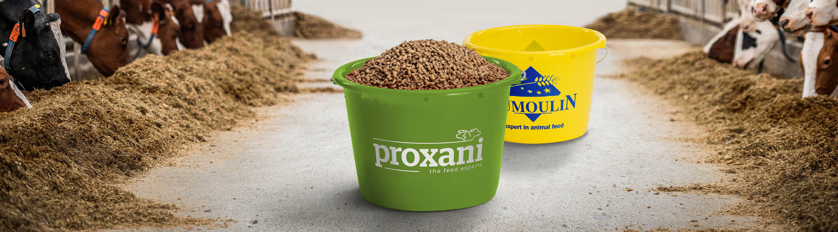 2 seaux dans une étable avec les logos de dumoulin et proxani