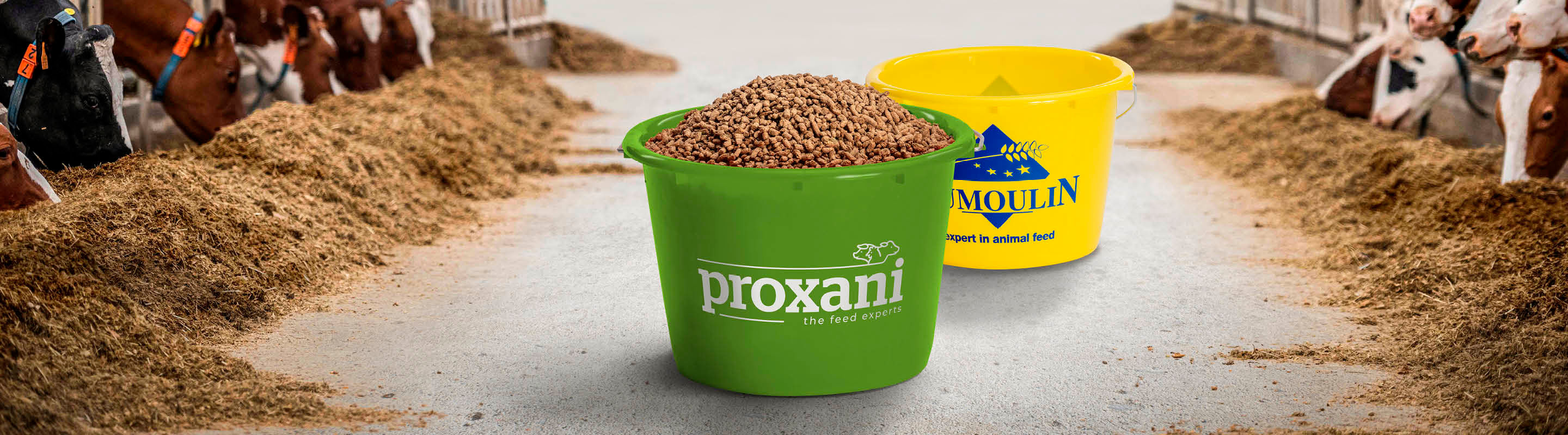 2 seaux dans une étable avec les logos de dumoulin et proxani