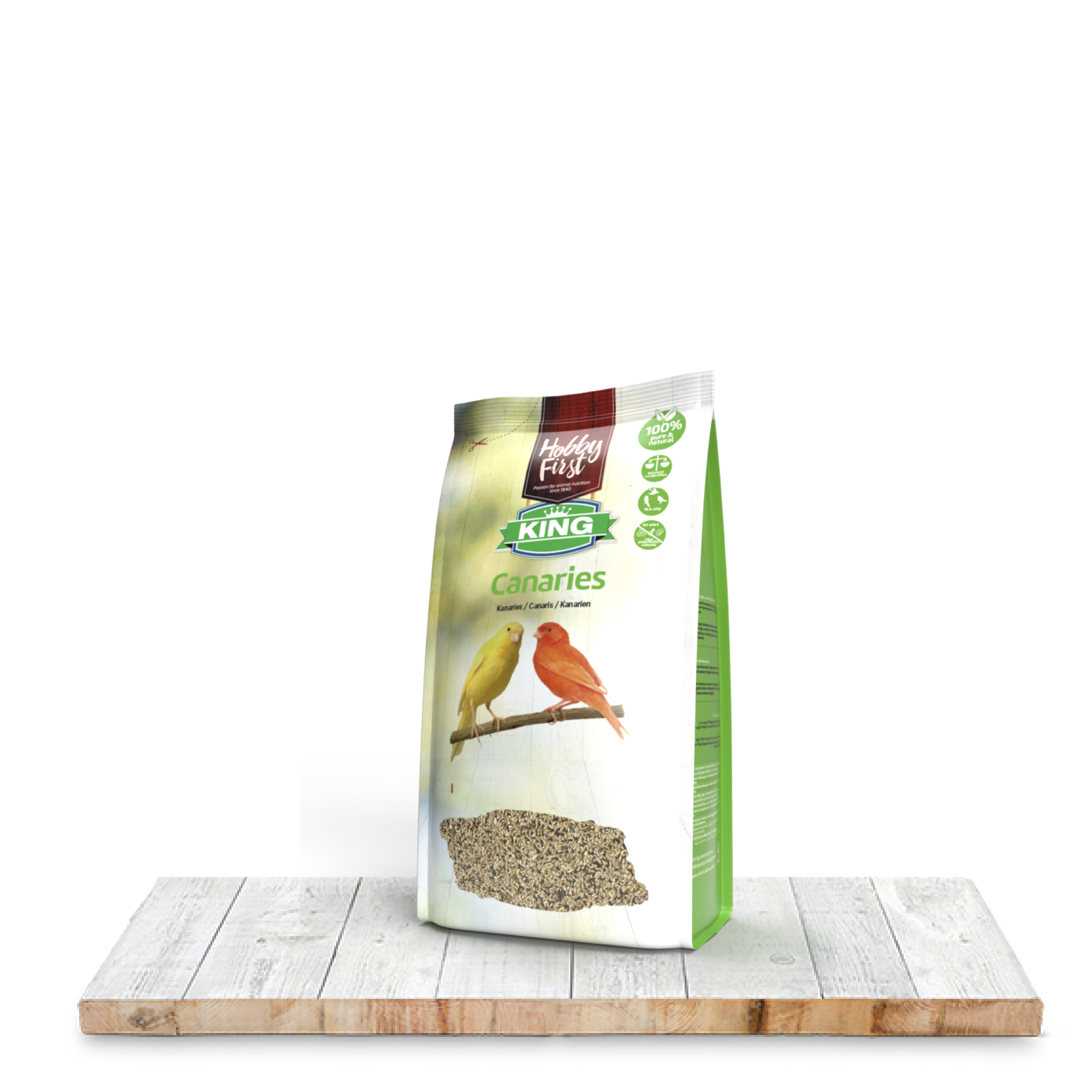 foto king kanarie KVP