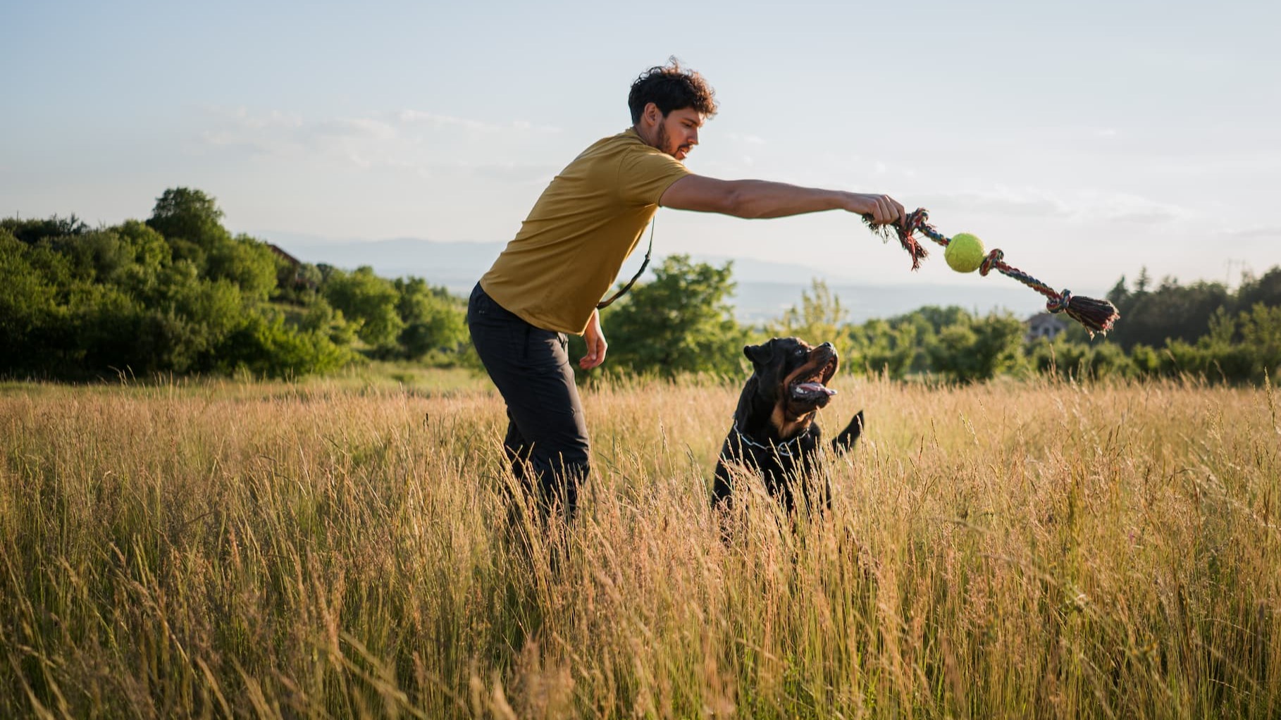 Beste hondenspeelgoed: hond speelt met baasje – Aveve