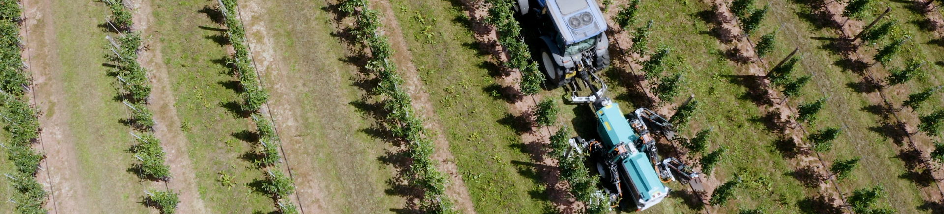 Rootwave: elektrische onkruidbestrijding voor een duurzame fruitteelttoekomst