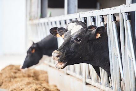 30.05.2025_Nieuwsbrief_AN_ProDry