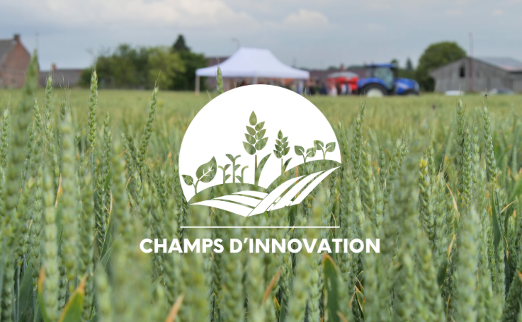 Champs d'innovation