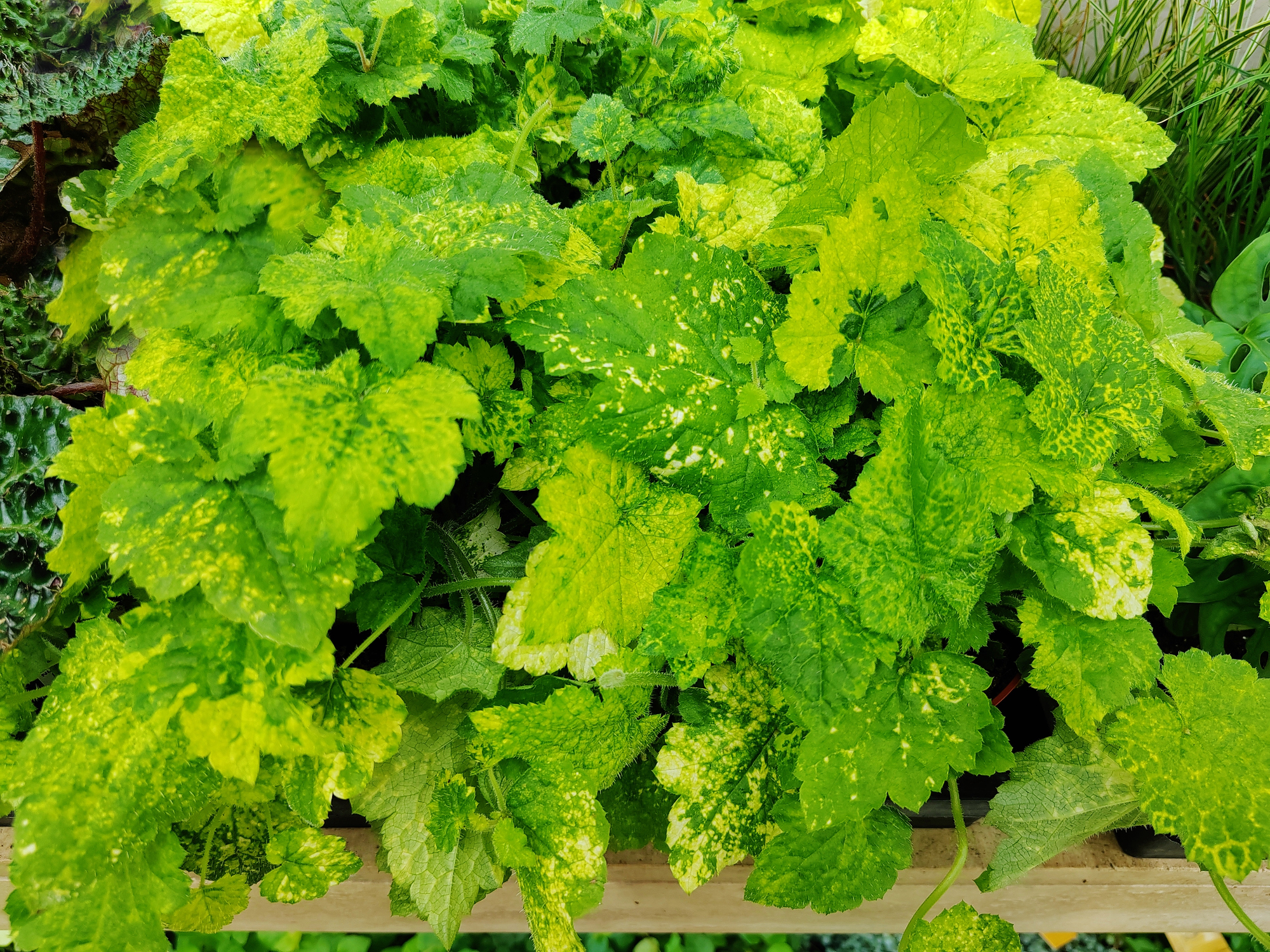 image banner: Kindje-op-moeders-schoot