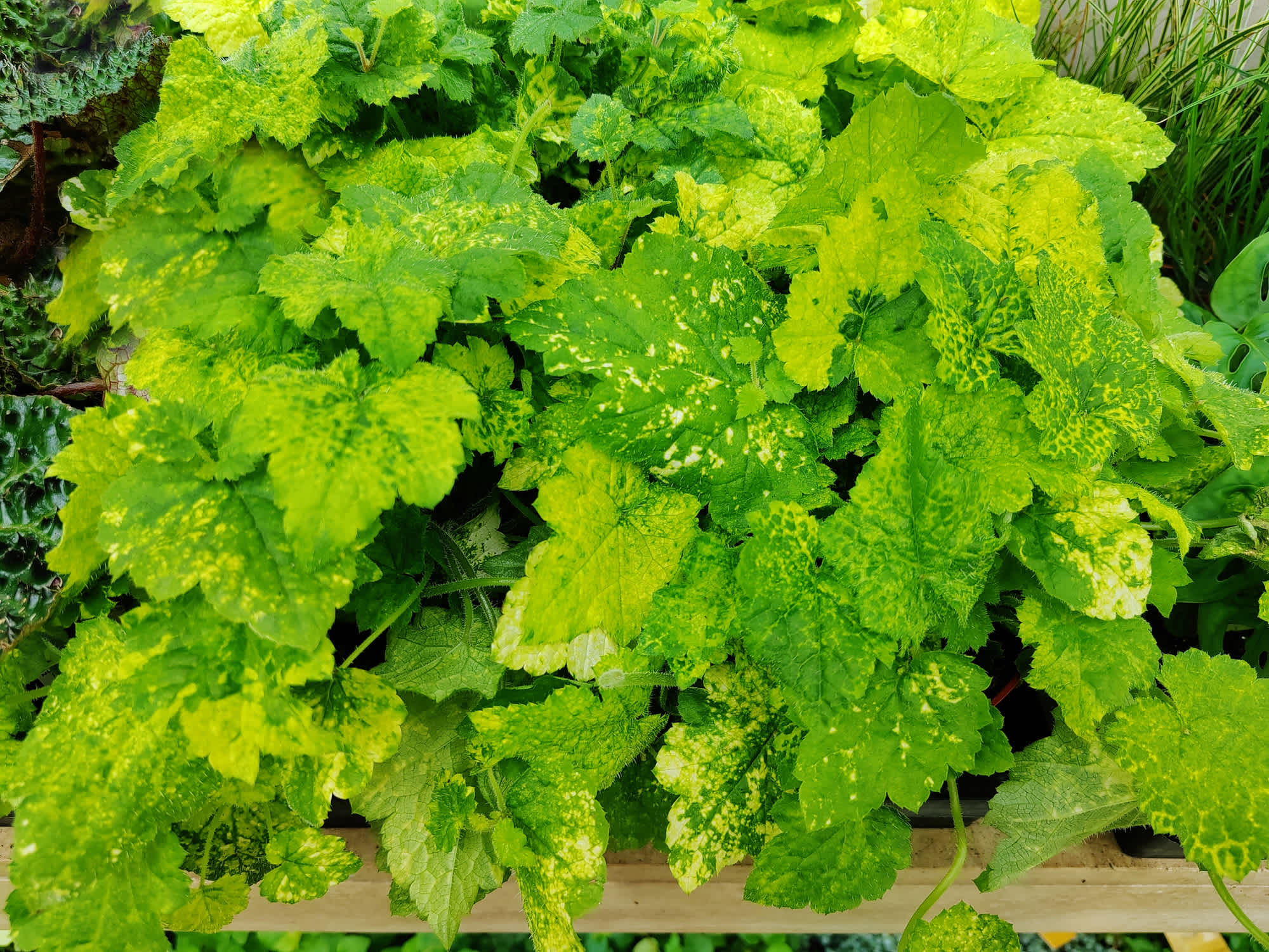 image banner: Kindje-op-moeders-schoot