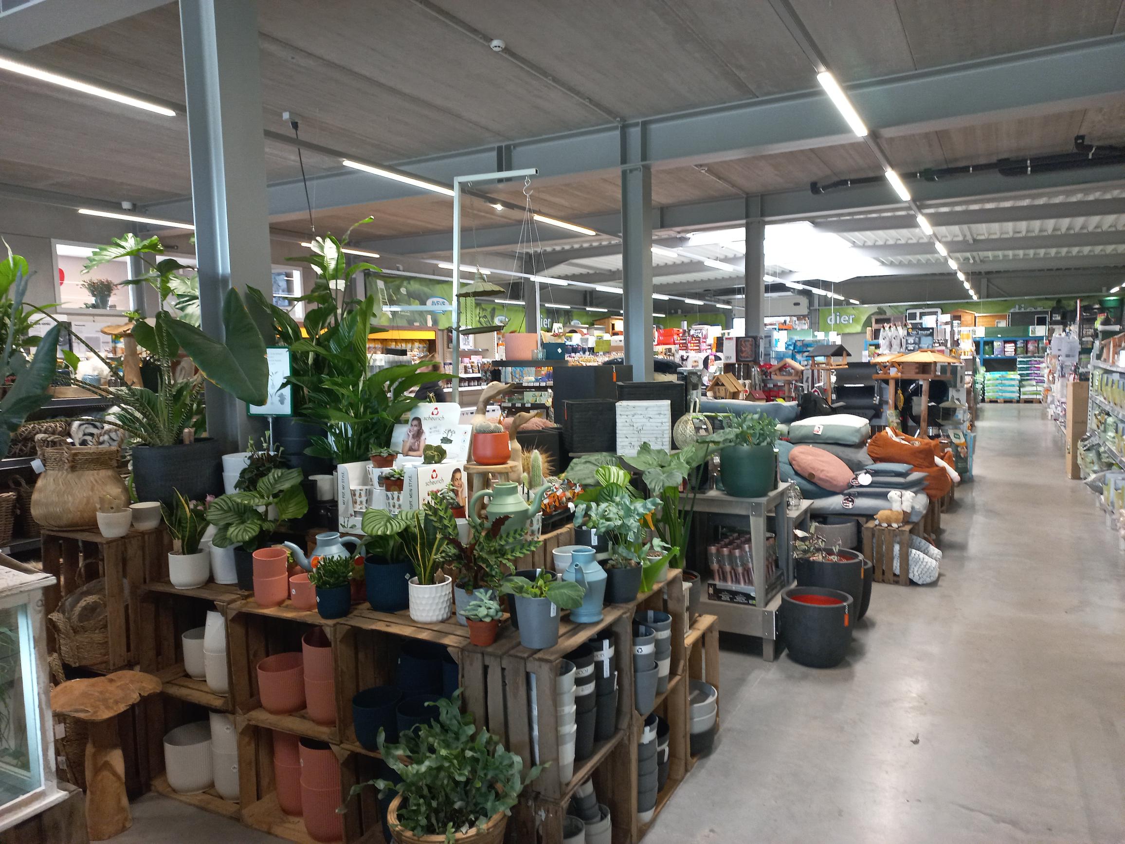 Aveve_winkel_Eksaarde_interior