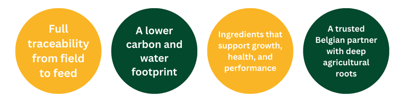 Plant-Based Protein & Starch for Animal Nutrition I2
