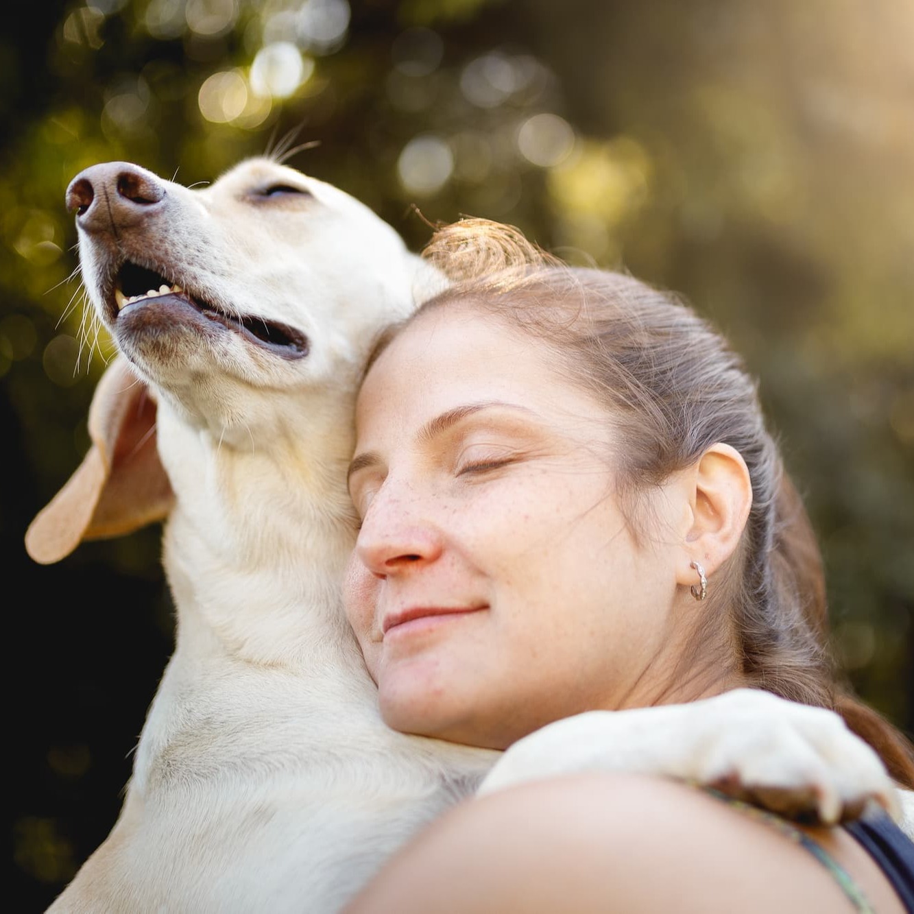 Blije hond knuffelt baasje – Aveve