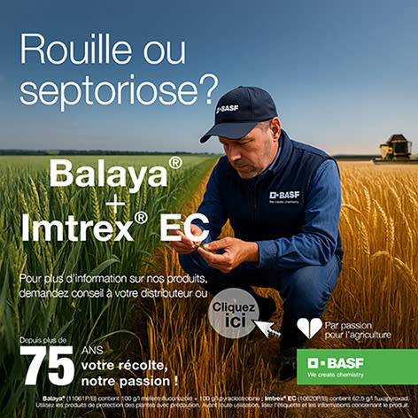 Balaya