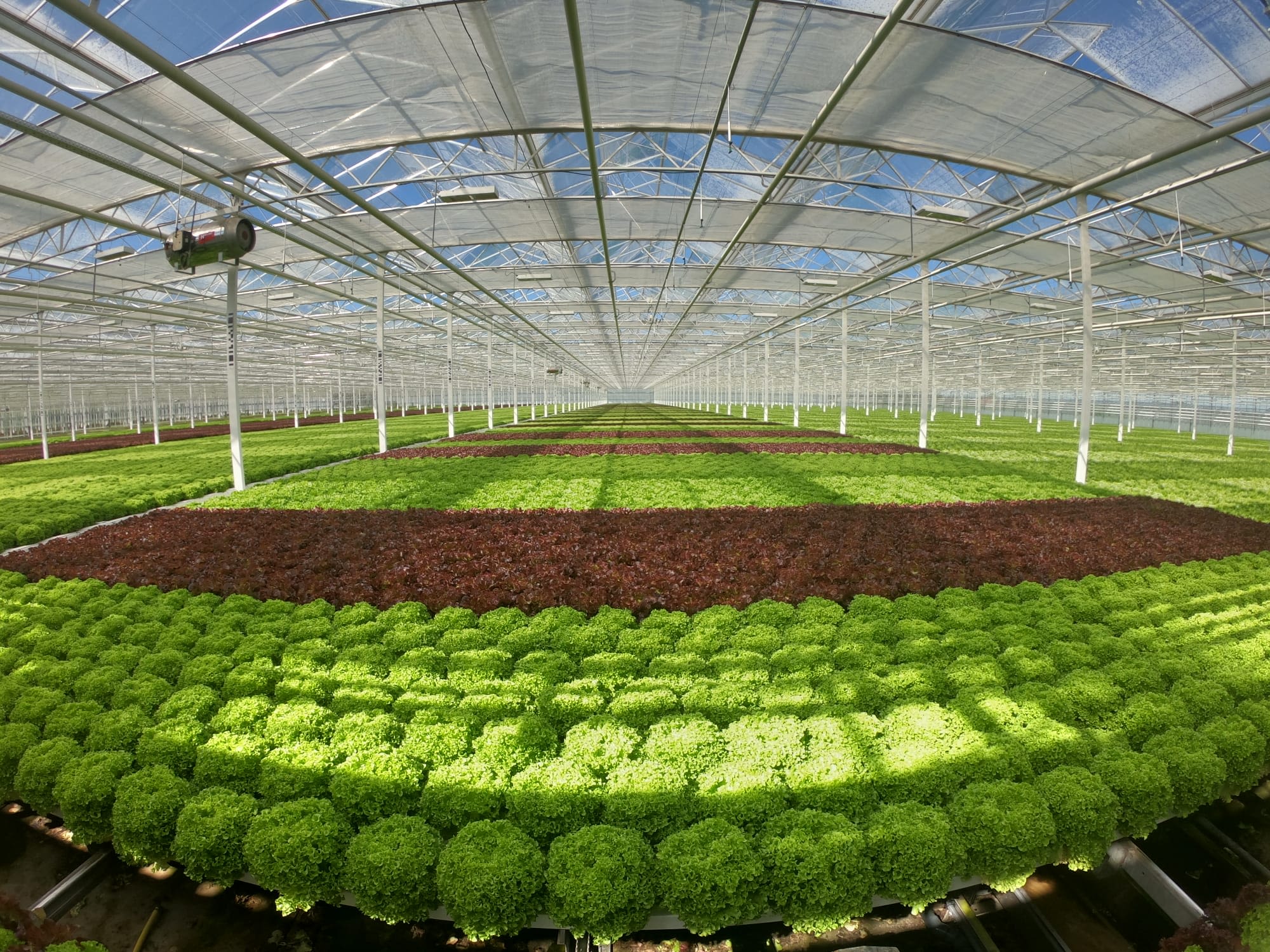 Technical Design Engineer