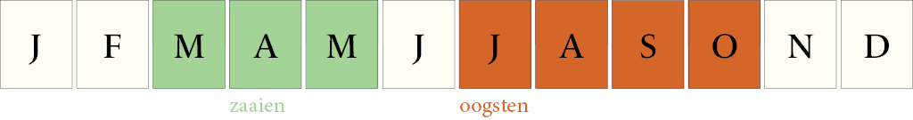 Zaaikalender Stengelui White Ishikura