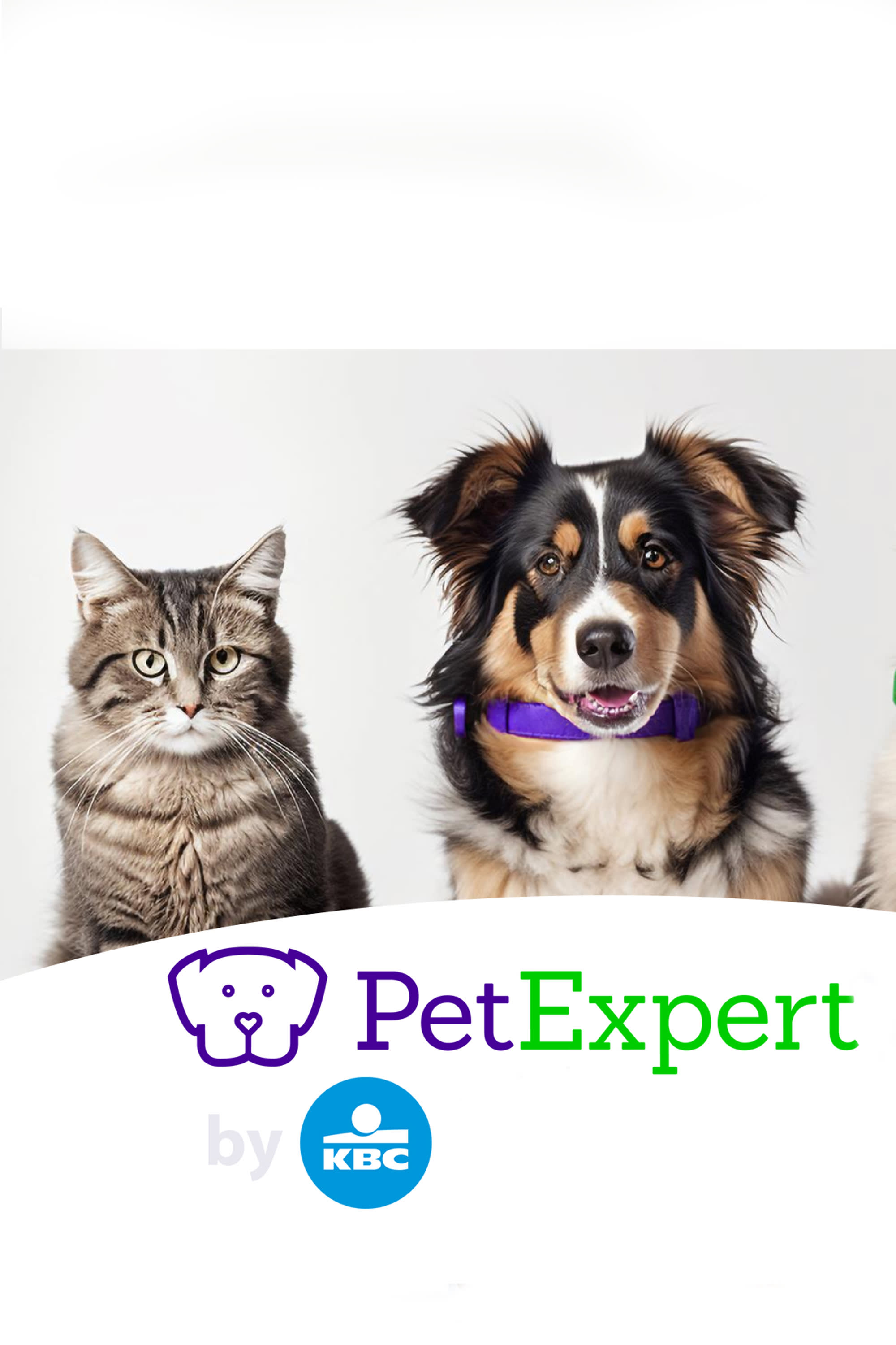 Nieuw! Verzeker je hond of kat met PetExpert by KBC