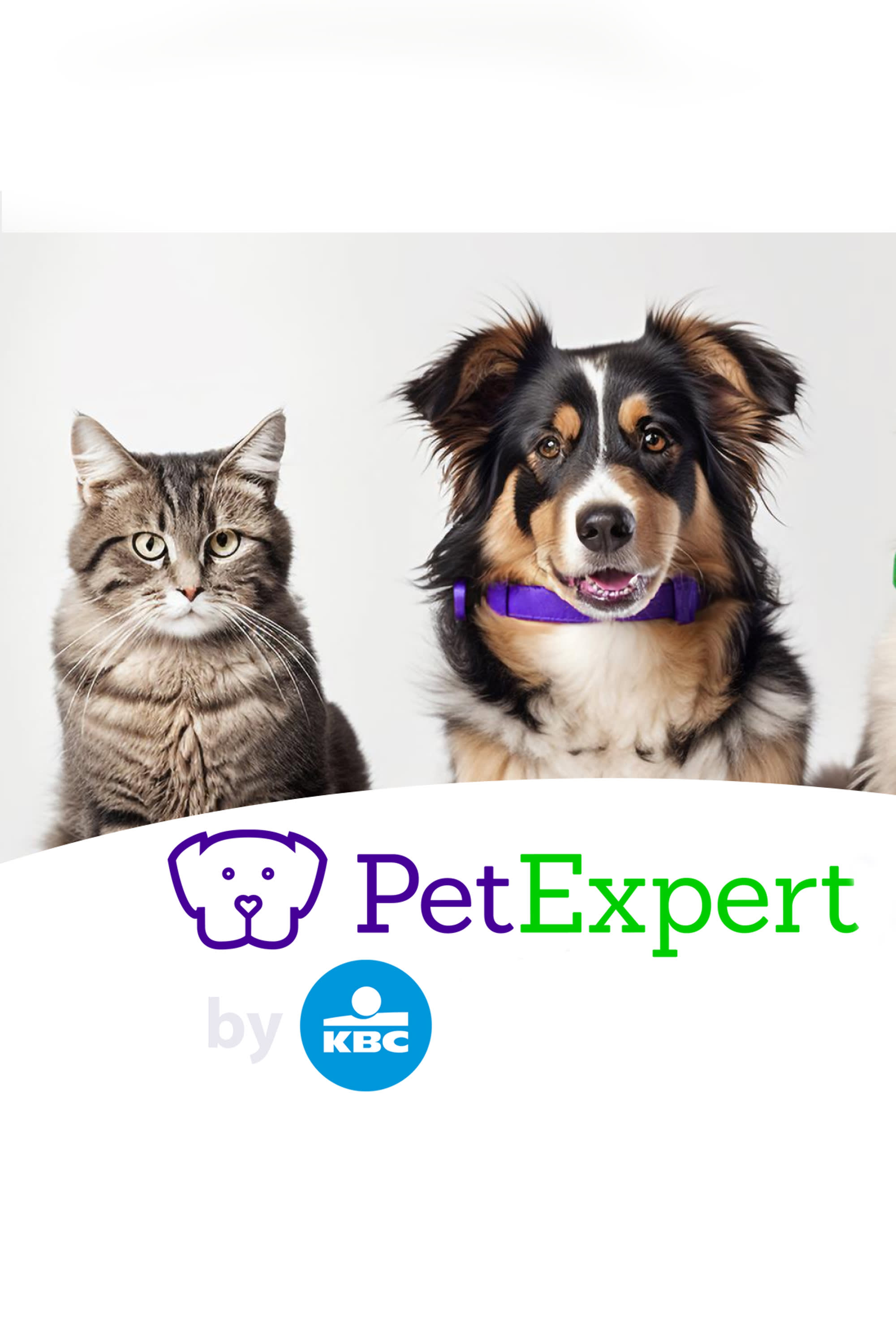 Nouveau ! Assurez votre chien ou votre chat avec PetExpert by KBC