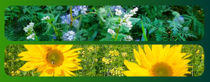 27.03.2026_Nieuwsbrief AH_De belangrijkste ecoregelingen even op een rij 