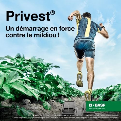 Privest