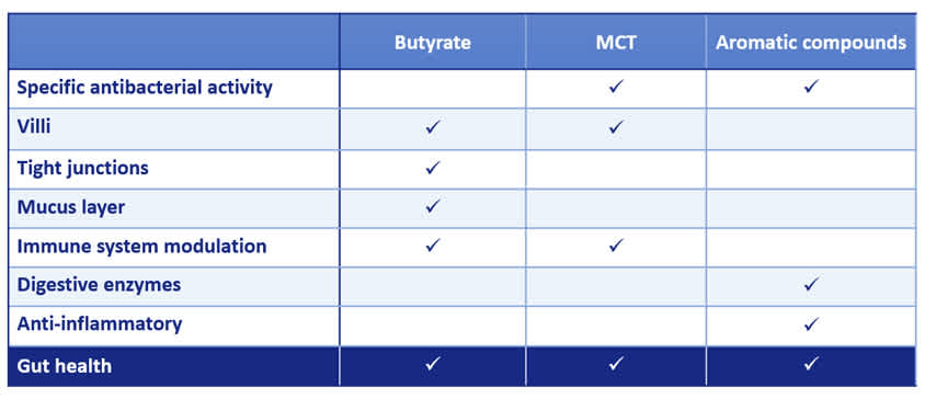 Figure 1 - Main modes of actions