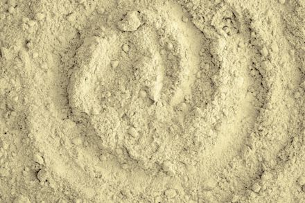 PROTEIN. Nutritious plant proteins for food & feed