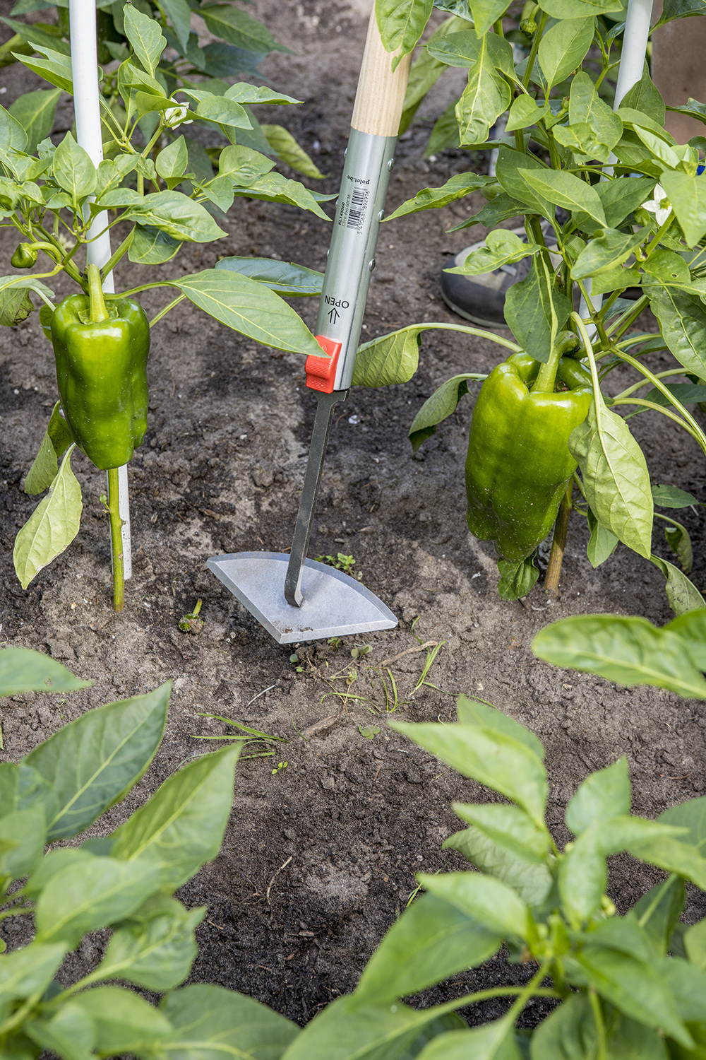 Polet outils à manche - Aveve