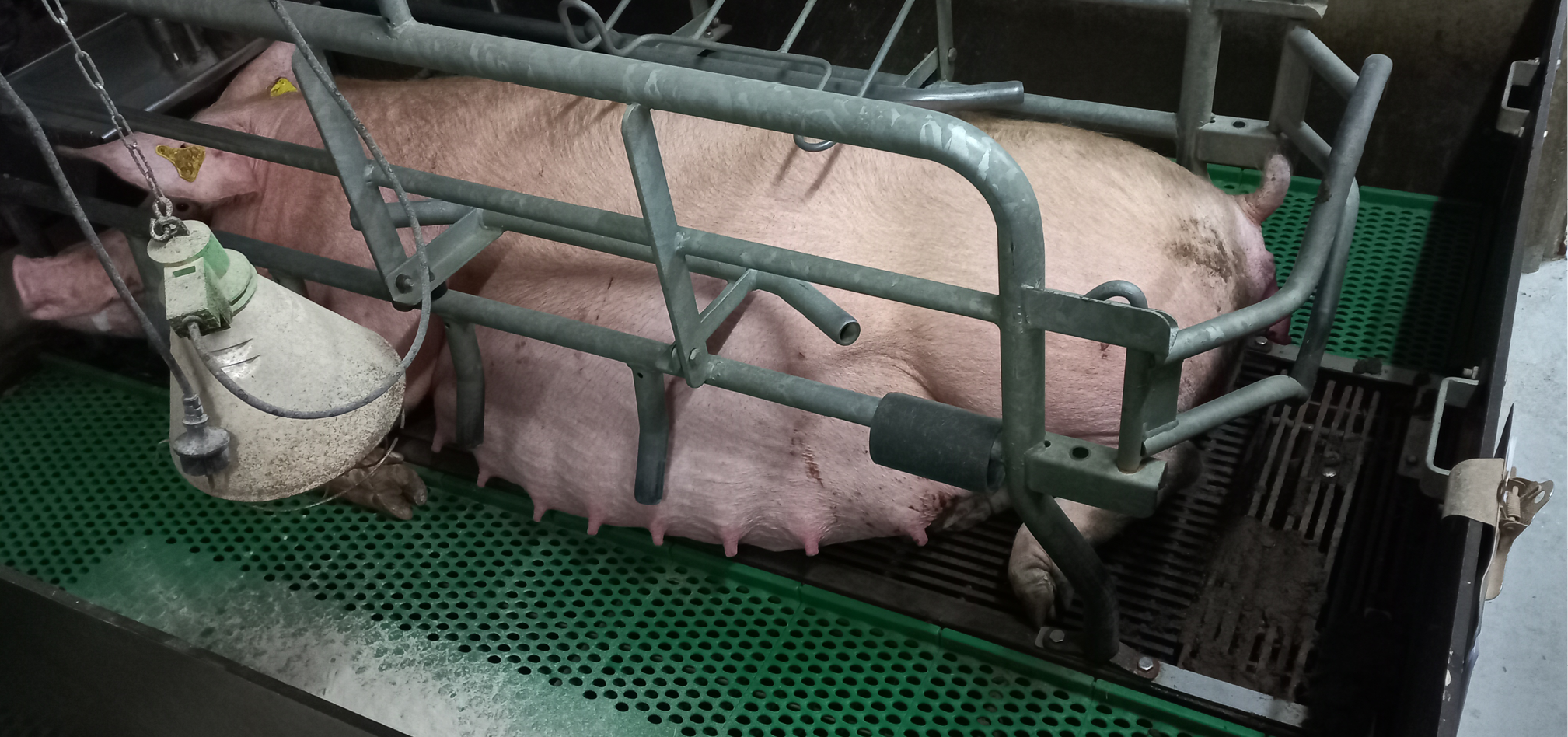 Zeug transitiefase 968x455px