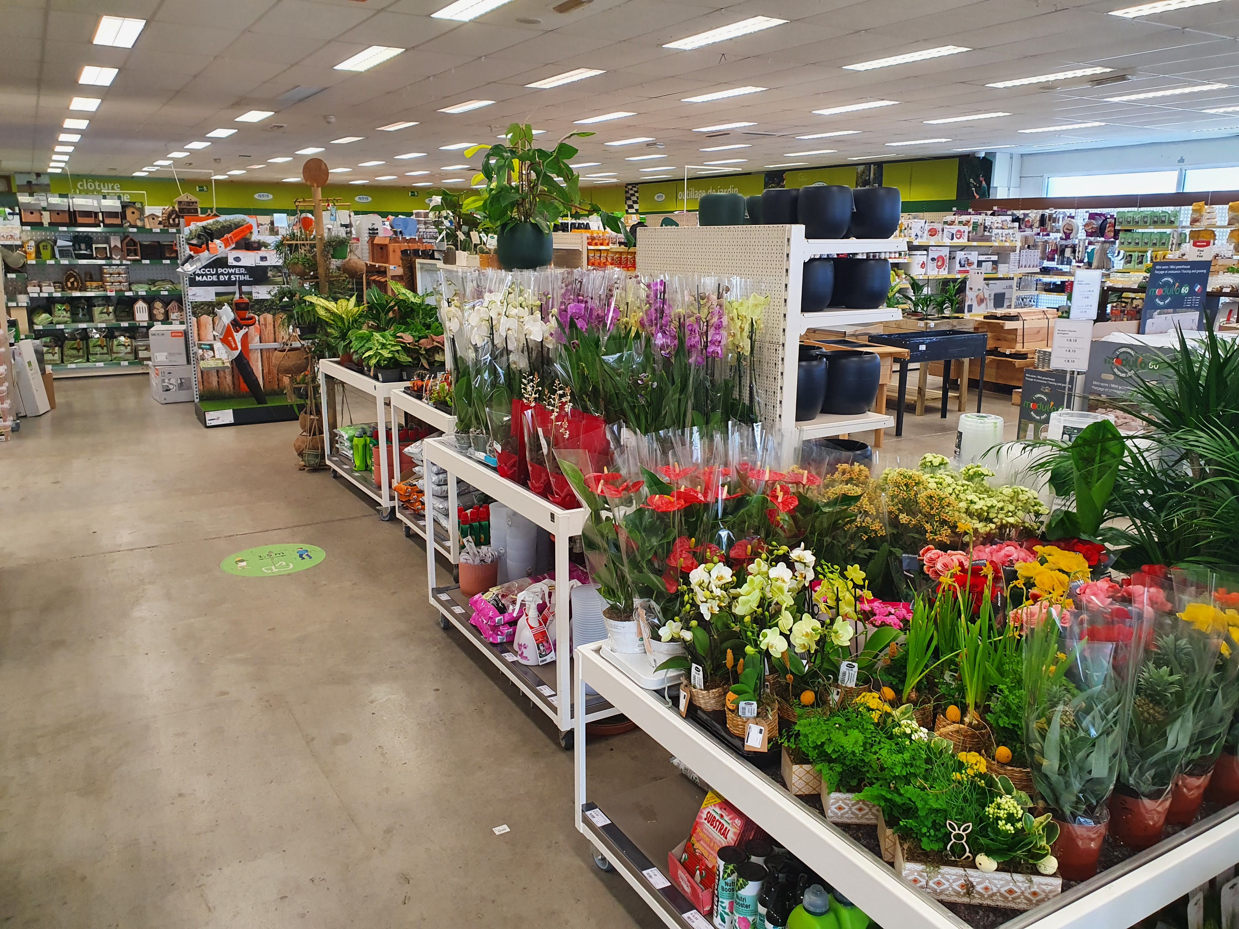 Aveve_magasin_Seraing_interior