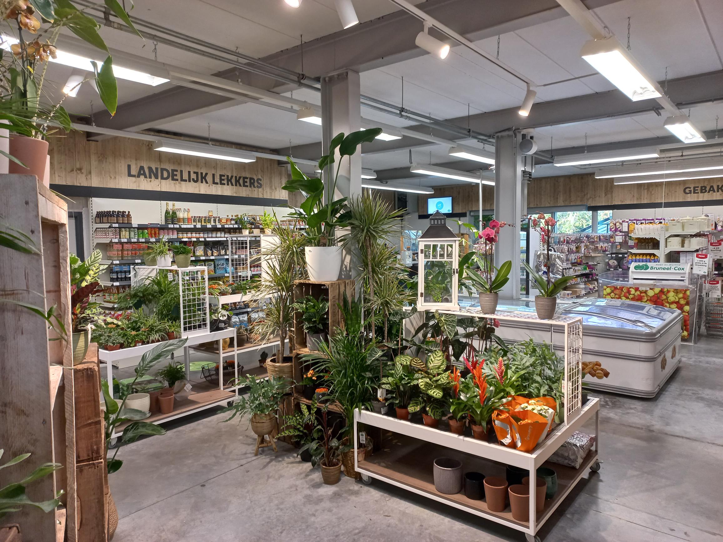 Aveve_magasin_De-Pinte_interior