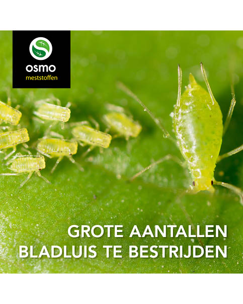 Bladluizen bestrijden