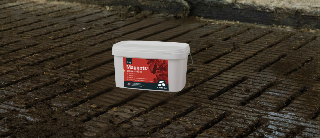 05.05.2026_Nieuwsbrief_AN_Maggots