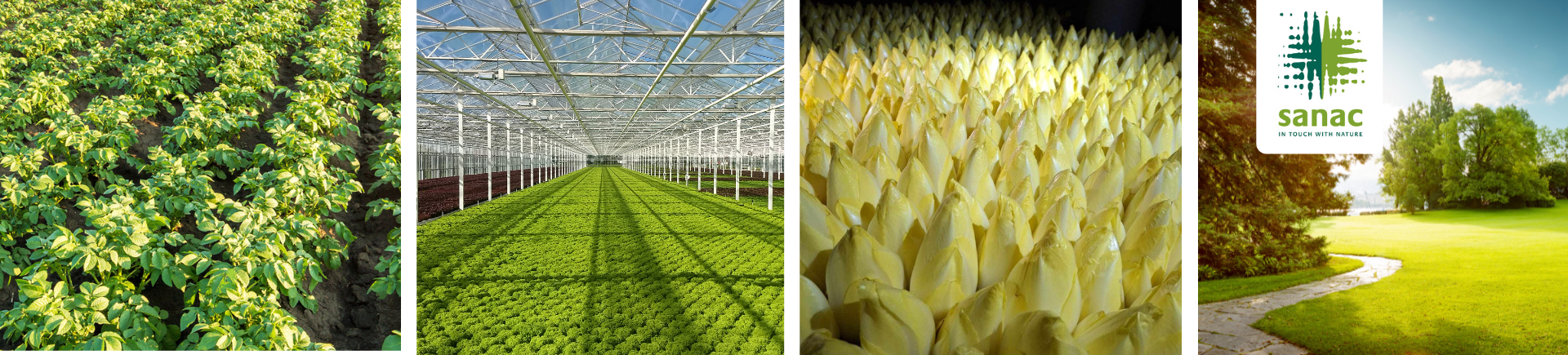 Banner kennisbank Sanac