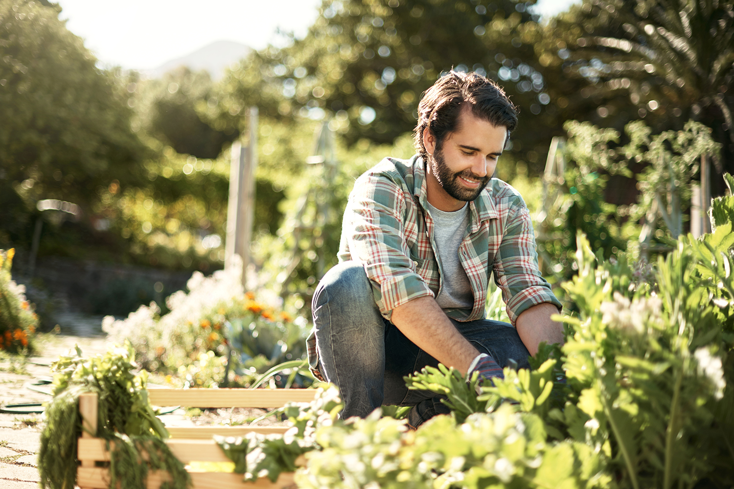 Aménager un jardin – Aveve 