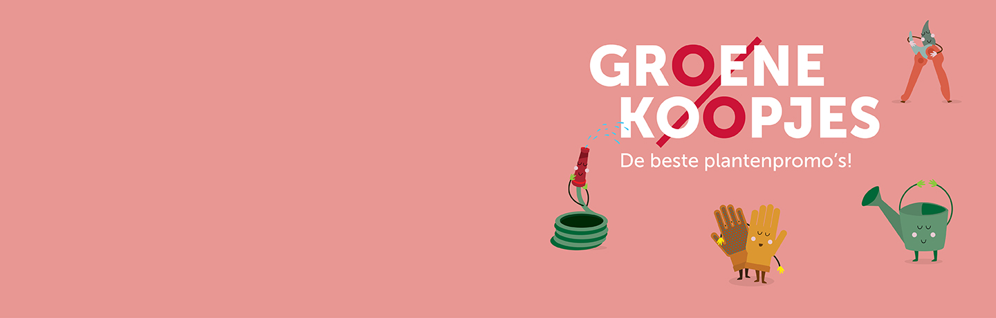 In onze folder ontdek je alle promoties van woensdag 6 mei tot en met zondag 17 mei 2026.