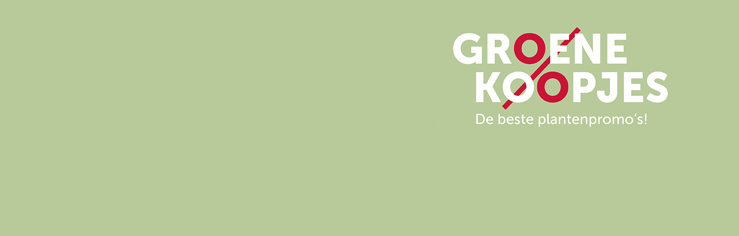 Moeder en kinderen vieren Moederdag