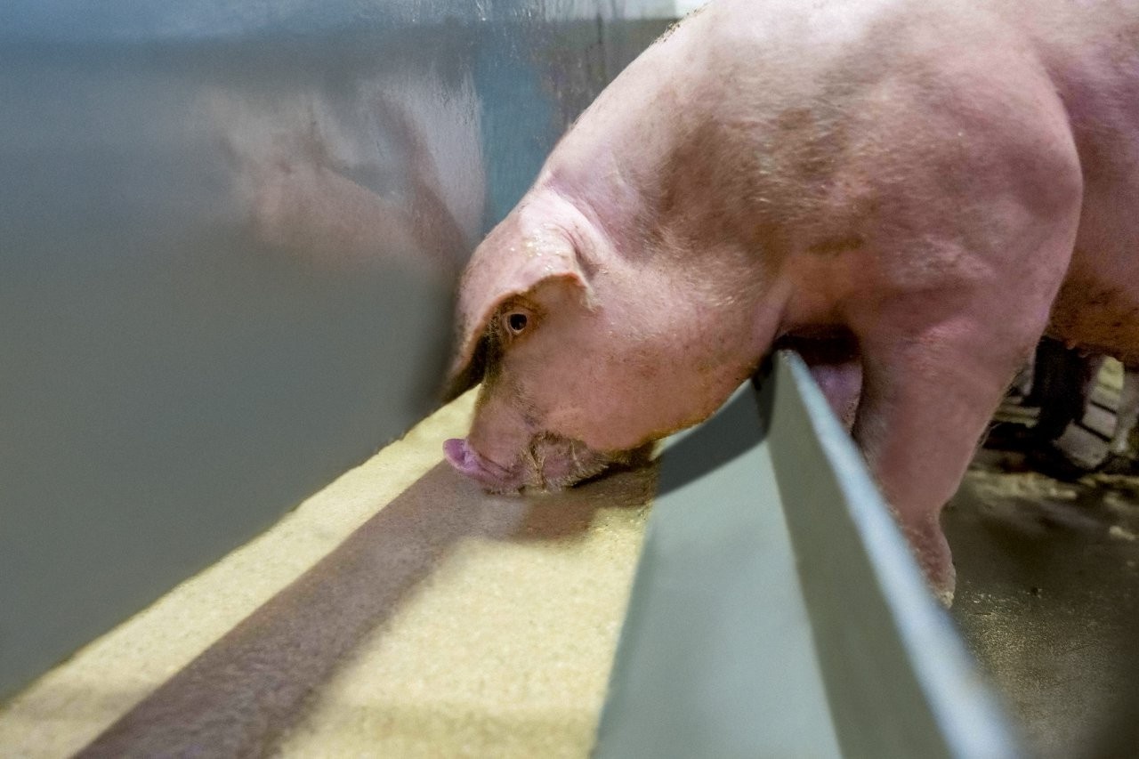 herobanner - NutriFleXX