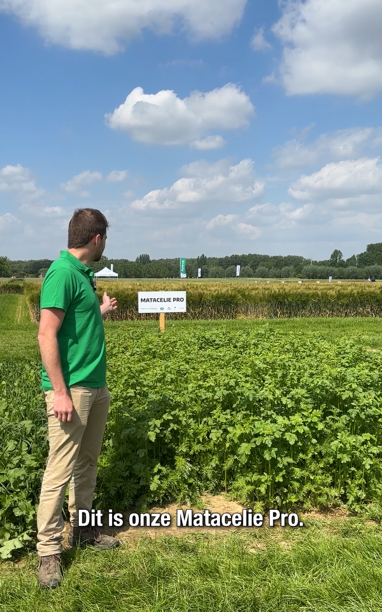 Groenbedekkers - Laurens Niclaes