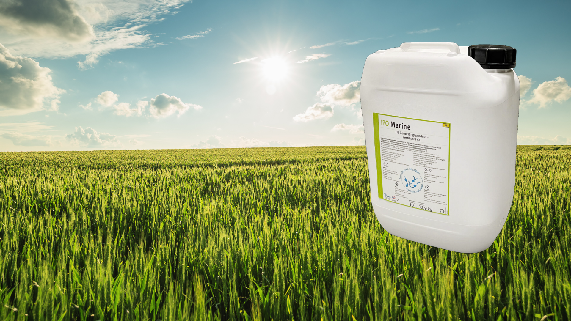 Ipo Marine image 1920x1080