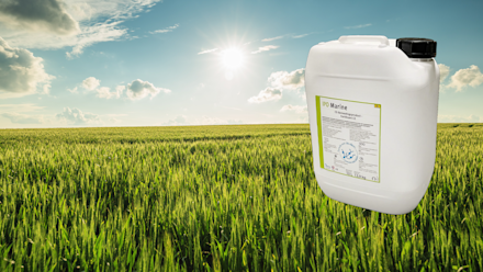 Ipo Marine image 1920x1080