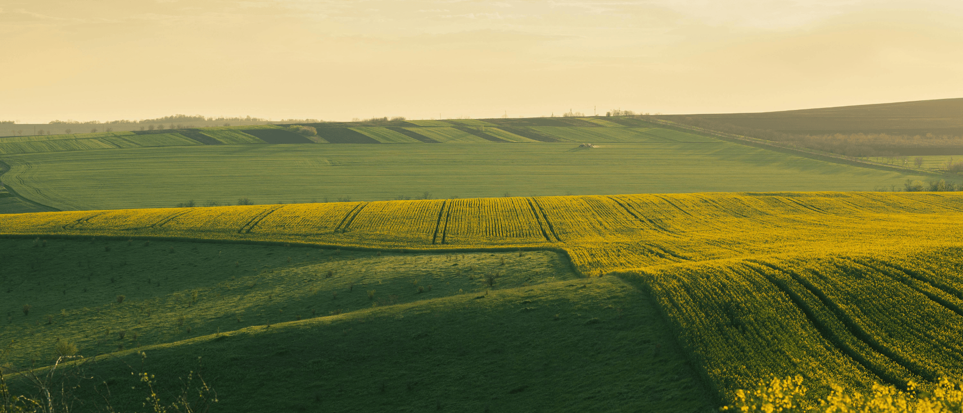 Walagri propose une vaste gamme d'engrais composés !